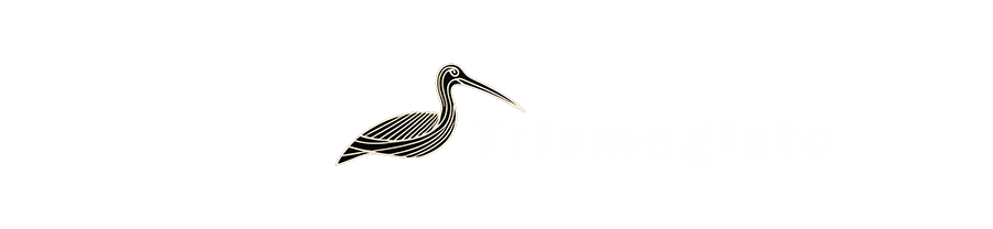 Mystic Threads Logo